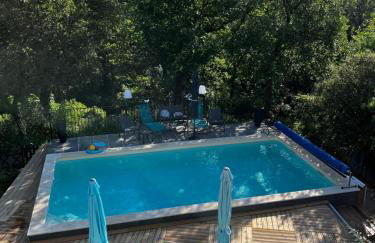 La bastide de Mauragne - Gîte les Iris - Photo 3