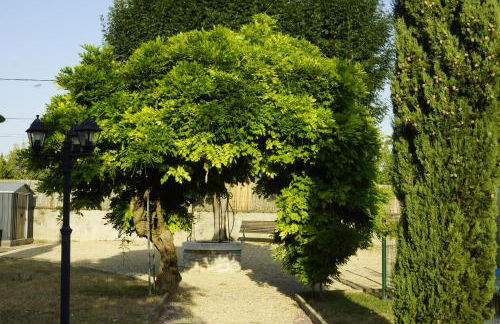 Gîtes Angulus Ridet - Foto 18