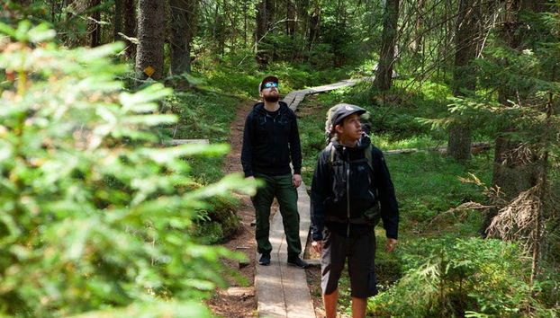 Liesjarvi National Park Hike - Photo 2