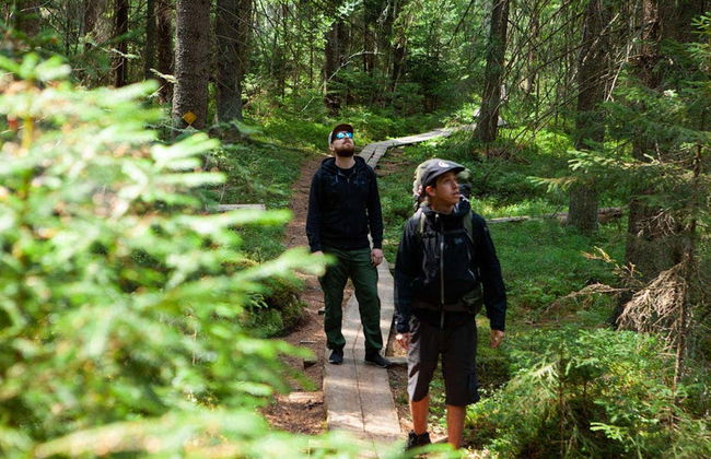 Liesjarvi National Park Hike - Photo 2