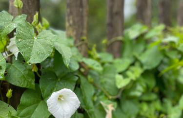 Exklusives Design-Apartment & Sauna - Foto 32