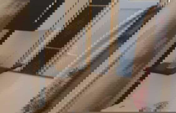 Yar Guestroom - Adults Only - Foto 15