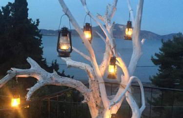 Koklas Studios - Foto 21