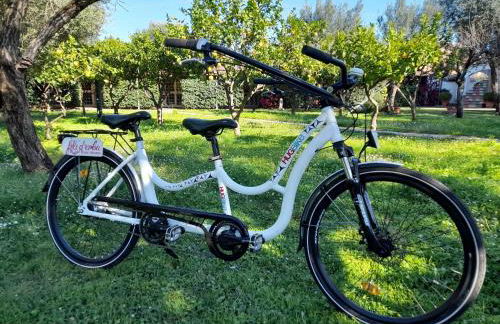 Fili d'Erba Cilento - Foto 12