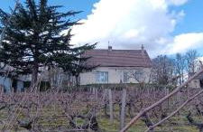 Pleine nature, 10 min zoo Beauval Mareuil sur cher - Foto 14