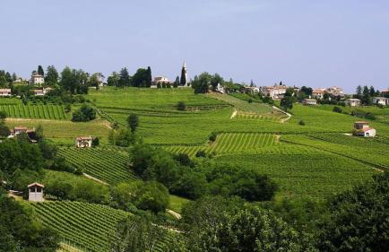 Al frutteto - Foto 28