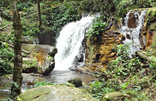 Apartamento em Presidente Figueiredo - Photo 24