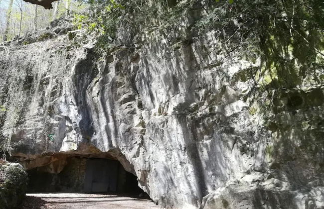 Wohnung in Bad Grund - Foto 30