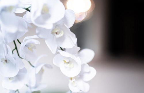 Family Apartment City Center Baden-Baden - Foto 42