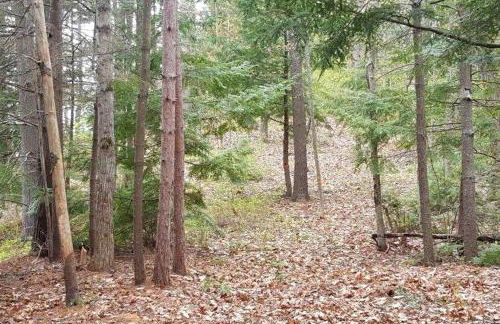 Private Riverfront Safari tent for a Glamping Experience in the Monadnock Region, New Hampshire - Foto 13