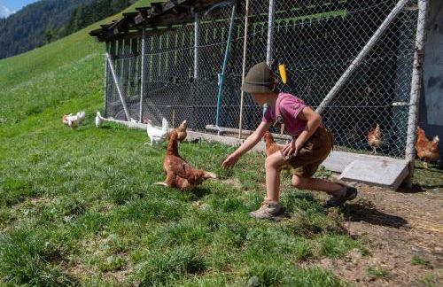 Obergruberhof - Photo 36