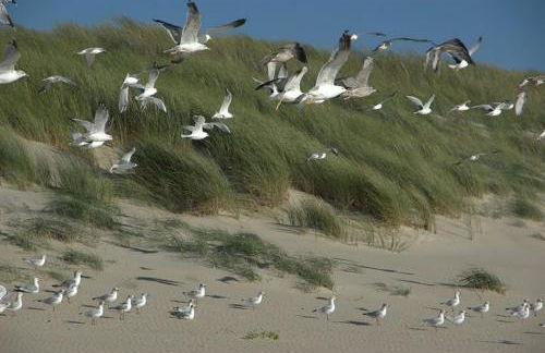 Appartement AB DU PARC - Foto 25