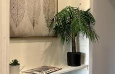 Studio NICE CENTRE sur Avenue Jean Medecin MER à 8 minutes de marche - Foto 12