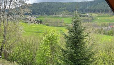 Im Tannenblick - Foto 2