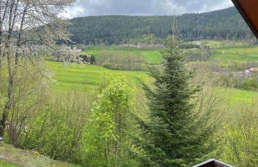 Im Tannenblick - Photo 2