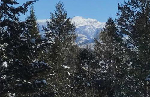 Bray House - Ski-in Ski-out family home - Foto 46