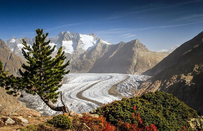 Alphütte Bielerchäller - Foto 4