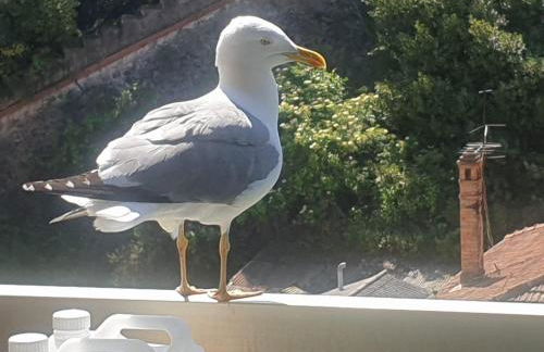 Luxurious Studio in Cannes 450m from sea with Terrace and Air Conditioning and private Parking - Foto 29