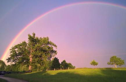 Beim Danner - Foto 10