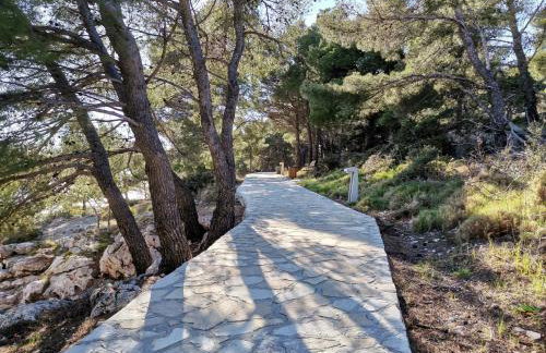 Penthouse Ema - Photo 54