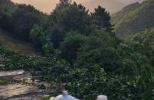 Apartamentos Rurales El Bosque de las Viñas - Photo 3