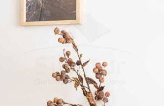 La Atalaya de Xixón By Silastur - Foto 16