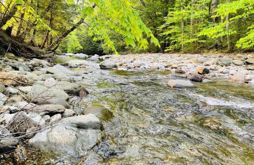 Geodome 1min to Smuggler's Notch with hot tub & River - Foto 15