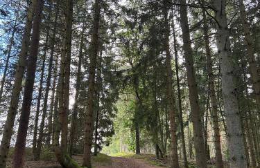 Nordheideblockhaus - Foto 10