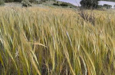 Casa das Chaminés - Foto 30