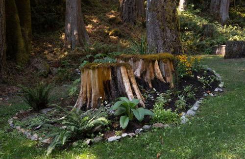 Secluded Forest Cabin with Hot Tub and Private Waterfall - Foto 42