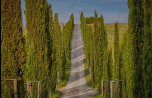 La casa di Elvira - Foto 50