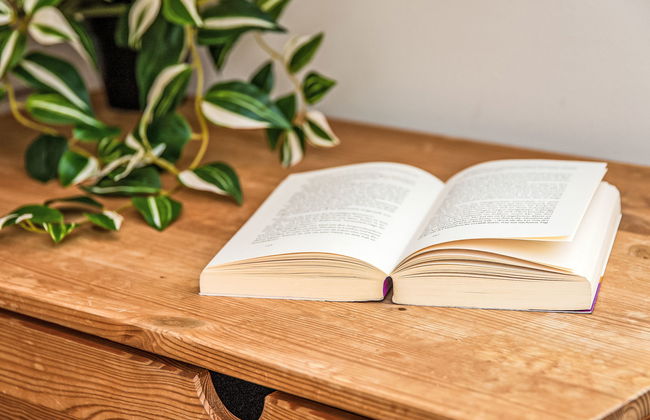 Schweizerheim Apt.5 - Foto 17