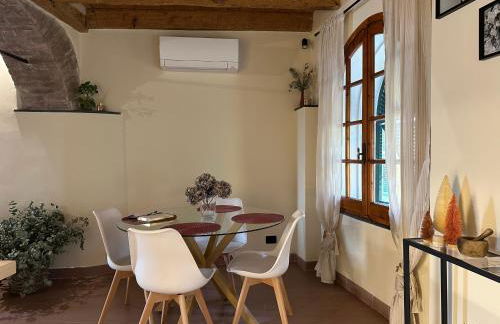 Vitis Verde - Foto 9