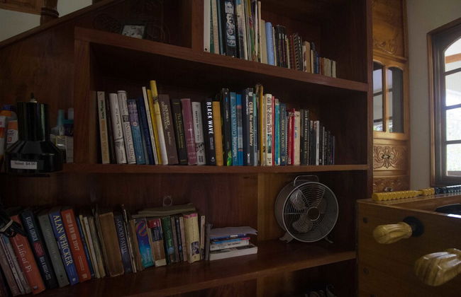 Rainbow Hill - Photo 30