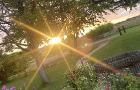 Simples Escales : gîte nature, détente et sauna - Photo 9