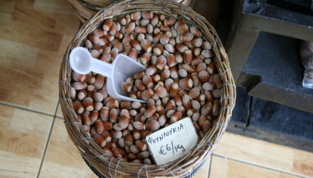 Taste of Cyprus from Paphos - Tour - Photo 4