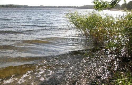 Kamienny Ogród Holiday Park - Foto 97