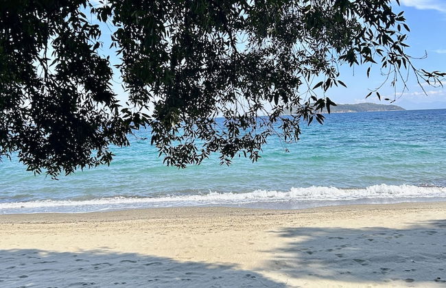 Golden King - Foto 53