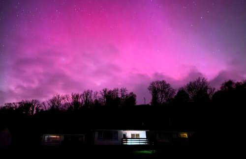 Ash, Birch and Rowan Self Catering Cabins - Photo 51