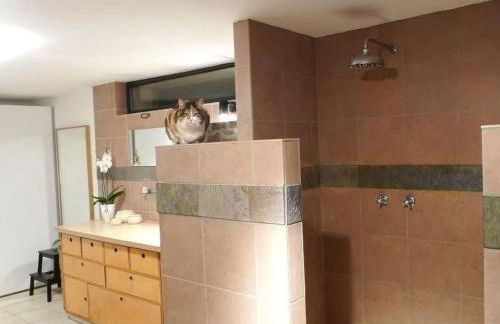 Holiday Home in Walscheid mit Terrasse- Grill by Interhome - Foto 20