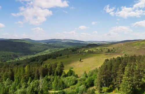 The Carnegie Rooms At Aultnagar Lodge - Uk48666 - Foto 22