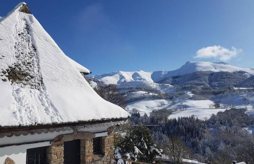Chalet avec vue panoramique sur le Plomb du Cantal - Foto 31