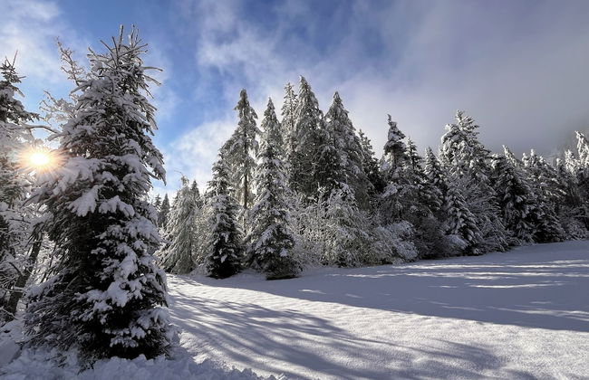 Haus Im Hochtal - Foto 50