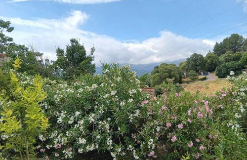 Les Accatines - Foto 12