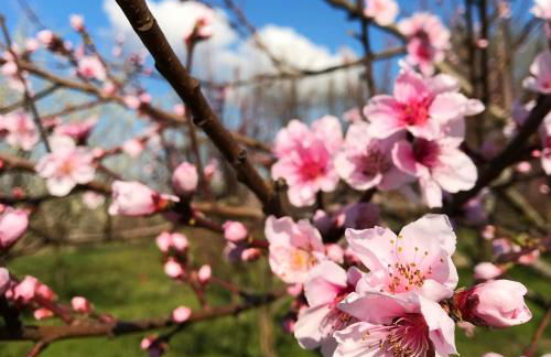 Agriturismo Bassanine - Foto 19