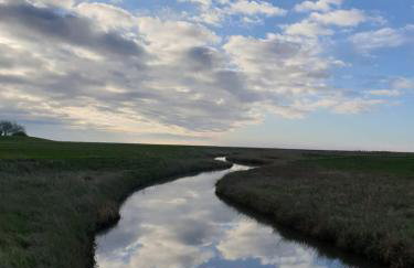 HaRe Ferienwohnungen - Foto 26