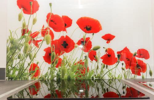 Albies End - Foto 13