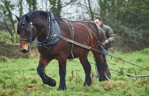 Ferme de Franqueville - Foto 31