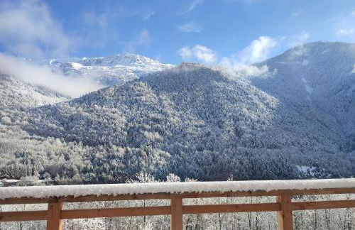 Le Bois Cosy appartement 4 étoiles 6 personnes, ACCES SKI ALPE D'HUEZ GRAND DOMAINE A 3 K M - Foto 12
