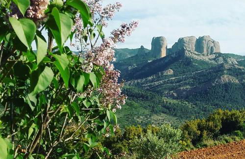Casa Rural Santana - Foto 40